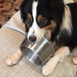 Don Becker - @donbecker72 - Instagram