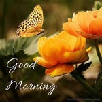 Donbecker - @donbecker76 - Instagram