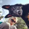 Don.Becks - @don.beckerr - TikTok