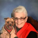 Donna Beeson - @donna_beeson - Instagram