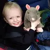 Don Bender - @don.bender - TikTok