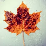 Don Bender - @benderoutdoors - Instagram