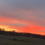 Donny Benefield - @donnyanddonnabenefield - Instagram