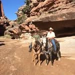 Don Bennett - @donbennett2704 - Instagram