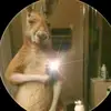 Donis Bentz - @donis.bentz - TikTok