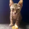 donberghuijs - @donberghuijs - TikTok