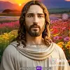Don Best - @don.best30 - TikTok