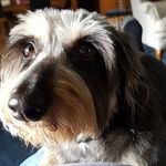 Don Beverly Bell - @beverly_and_don_bell - Instagram