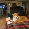 Don Bingham663 - @donbingham6751 - TikTok