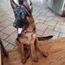 Don Bittner - Facebook