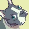 ボストンテリアのどんちゃん - @bostonterrier_donchan - TikTok