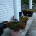 Donna Bostrom - Facebook