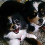 Don Boswell - @don_1950 - Instagram