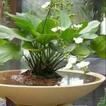 doni - @donny.botsford443 - Instagram