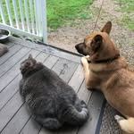 Donna Bourassa - @donna.bourassa - Instagram