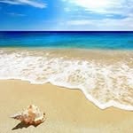 Donna Bourland - @bourlanddonna - Instagram