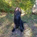 Don Bow - Facebook