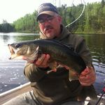 Don Bower - @bower2946 - Instagram