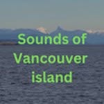 Don Bower - @soundsofvancouverisland - Instagram