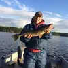 Goldfish111 - @donbower1111 - TikTok