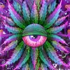 Donte Bowker - @donte.bowker - TikTok