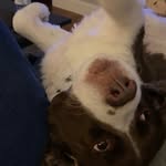 Don Bowley - @don_bowley57 - Instagram