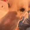Kaydon Bowling - @kaydon.bowling - TikTok