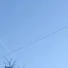 DonBox - @donbox_ - TikTok