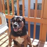 Don Boykin - @donboykin - Instagram