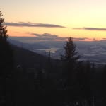Don Bracewell - @donbracewell - Instagram