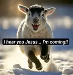 Don Brainard - Facebook