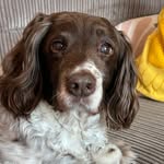 Don Brant - @brantdon - Instagram