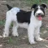 Donna Braswell - @donna.braswell - TikTok