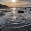 donnaarmbrecht - @donnaarmbrecht - TikTok