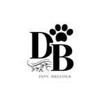 OPEN ADOPSI KUCING RAS BERKUALITAS - @don_breeder - Instagram