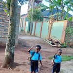 Don Breeze - @donbreeze5 - Instagram