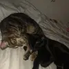 Don W Bremner - @don.w.bremner - TikTok