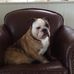 Don Brenner - Facebook