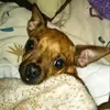 DonnaGBrewster89 - @donnabrewster589 - TikTok