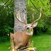 Don Bricker939 - @donbricker939 - TikTok