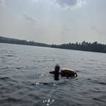 Donald Briere - @briair_38 - Instagram