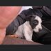Don Brimmer - Facebook