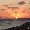 Don Brinkman - @don.brinkman - TikTok