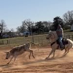 Donnie Brister - @catching2feet - Instagram