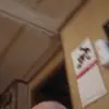 duck - @donaldbrower6 - TikTok