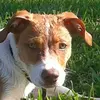 donnabruner452 - @donnabruner452 - TikTok
