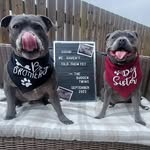 Don Budgen - @donbudgen - Instagram