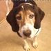 Don Bunner - Facebook