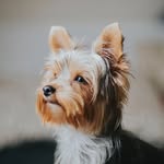 don bunners - @donbunners - Instagram