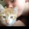 Eddie_cheatah - @donna.busby - TikTok